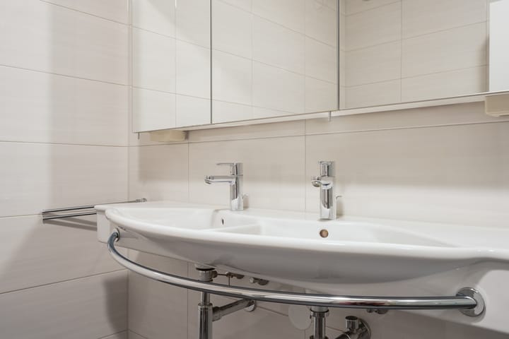 Foto 49 van De Eschmolen 110