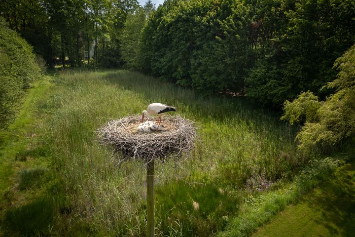 Bekijk foto 68 van Sallandsweg 9