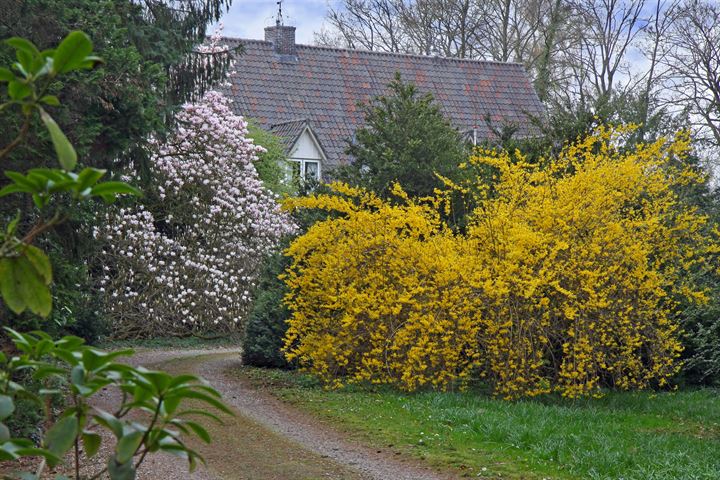 Bekijk foto 85 van Sallandsweg 9