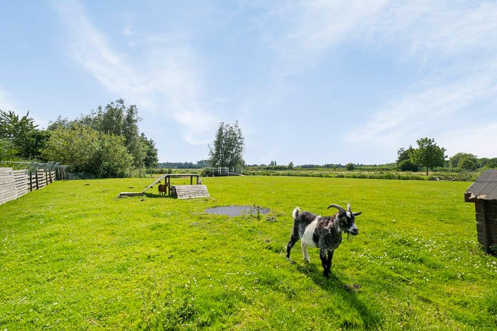 Bekijk foto 47 van Hogedijk 144