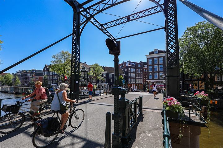 Bekijk foto 23 van Eerste Goudsbloemdwarsstraat 3-1