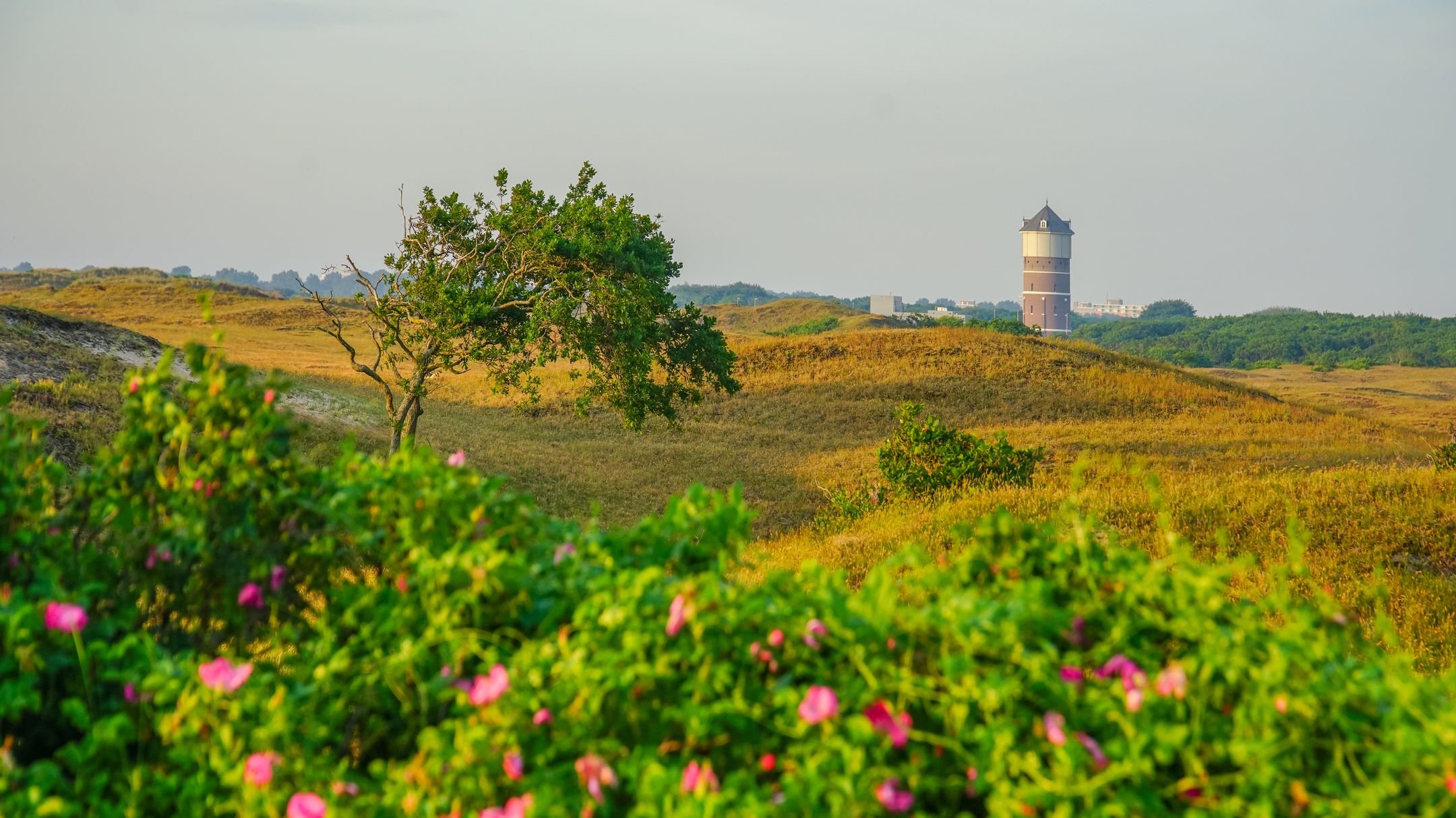 Photo 9 of Kavels Achter de Duinen Fase 3 (Bouwnr. 48)