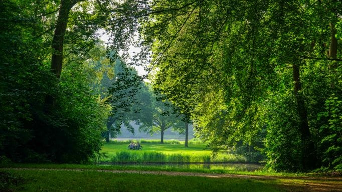 Photo 12 of Kavels Achter de Duinen Fase 3 (Bouwnr. 48)