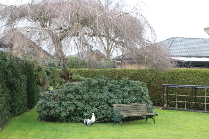 Foto 43 van Steenebarg 6