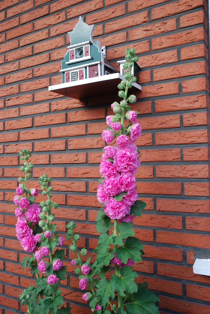 Foto 47 van Steenebarg 6