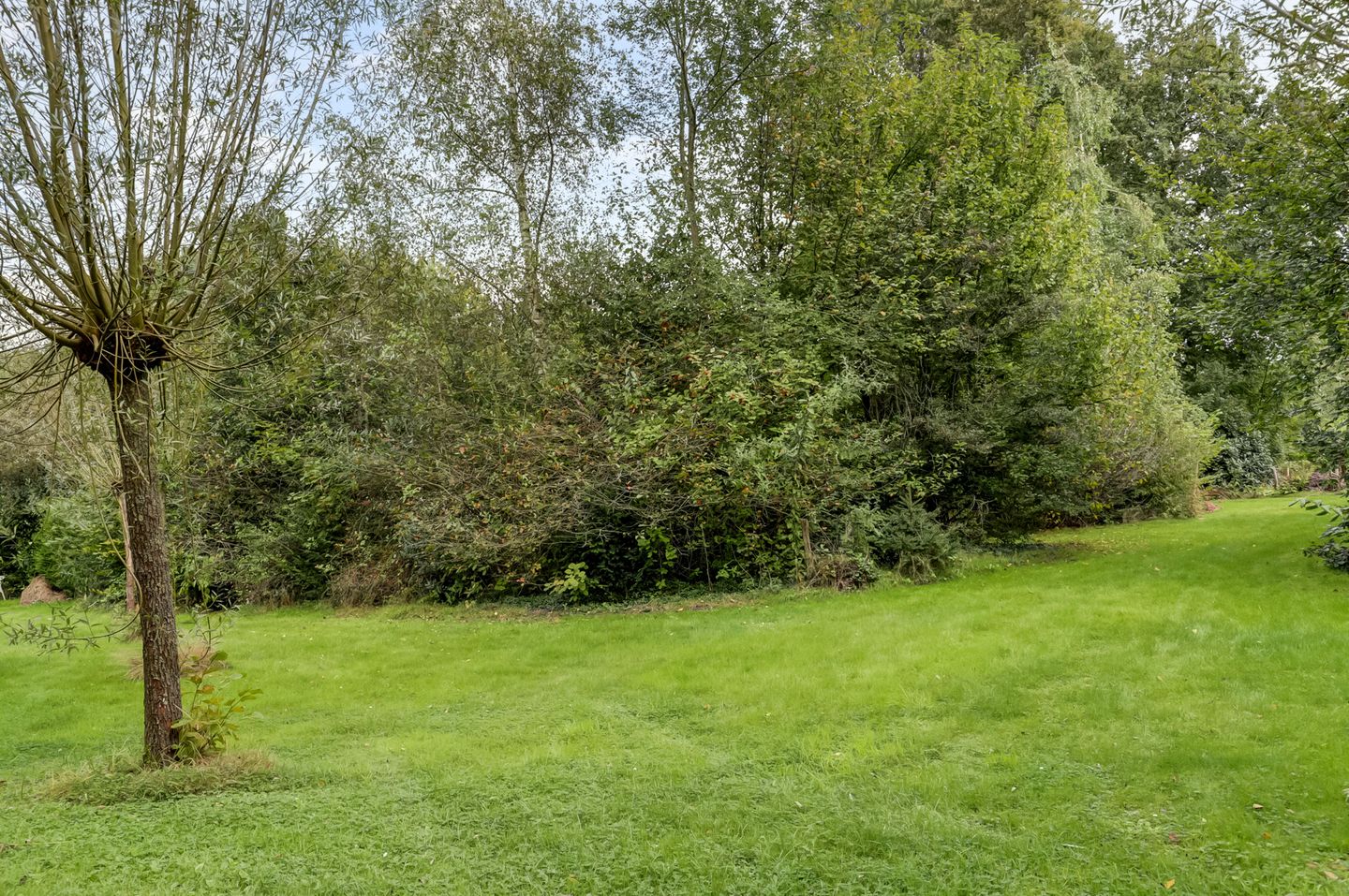 Foto 25 van Wildertstraat 33-11