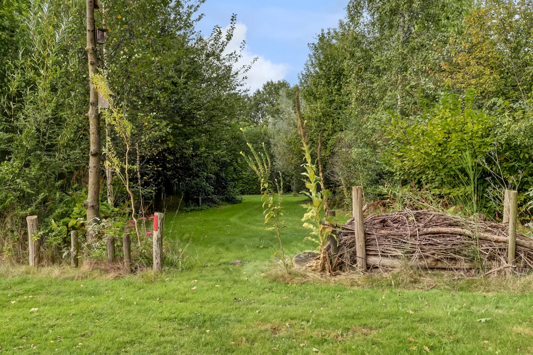 Foto 26 van Wildertstraat 33-11