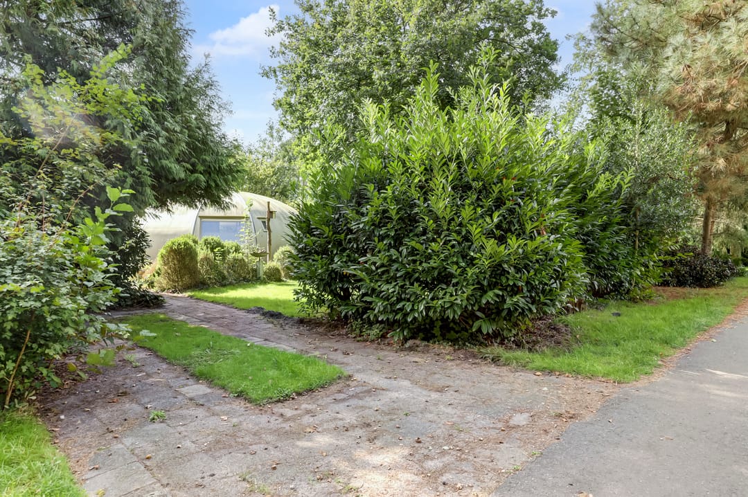 Foto 7 van Wildertstraat 33-11