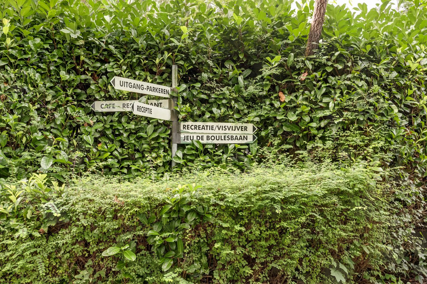 Foto 29 van Wildertstraat 33-11