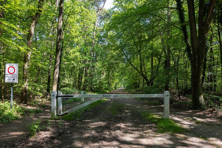 Bekijk foto 32 van Belvédèreweg 4