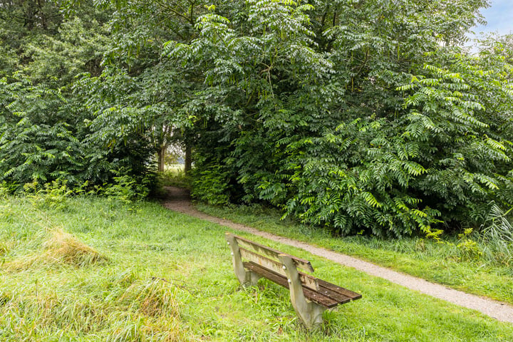 Bekijk foto 47 van Vestdijklaan 346