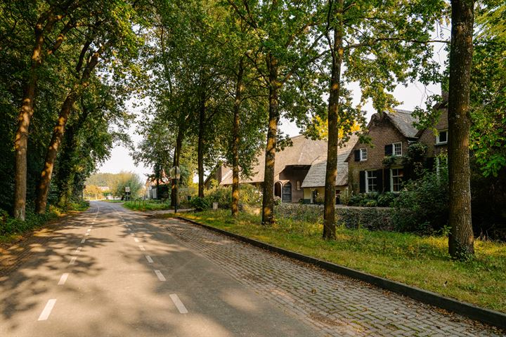 Bekijk foto 58 van van Pallandtweg 16