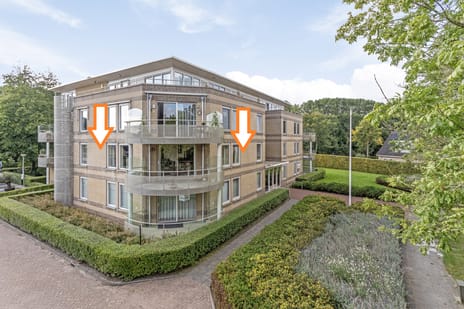 undefined main image