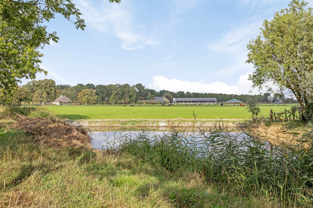 Foto 2 van Skries 19-G