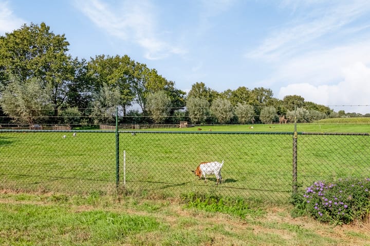 Foto 70 van Schouwstraat 3