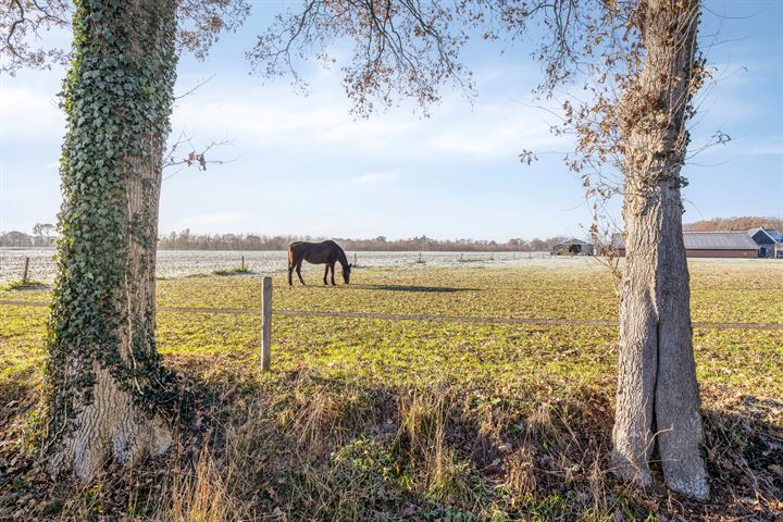 Bekijk foto 34 van Oude Borculoseweg 8