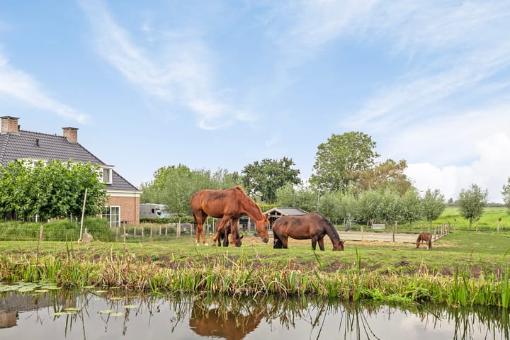 Foto 32 van Wilgenweg 14