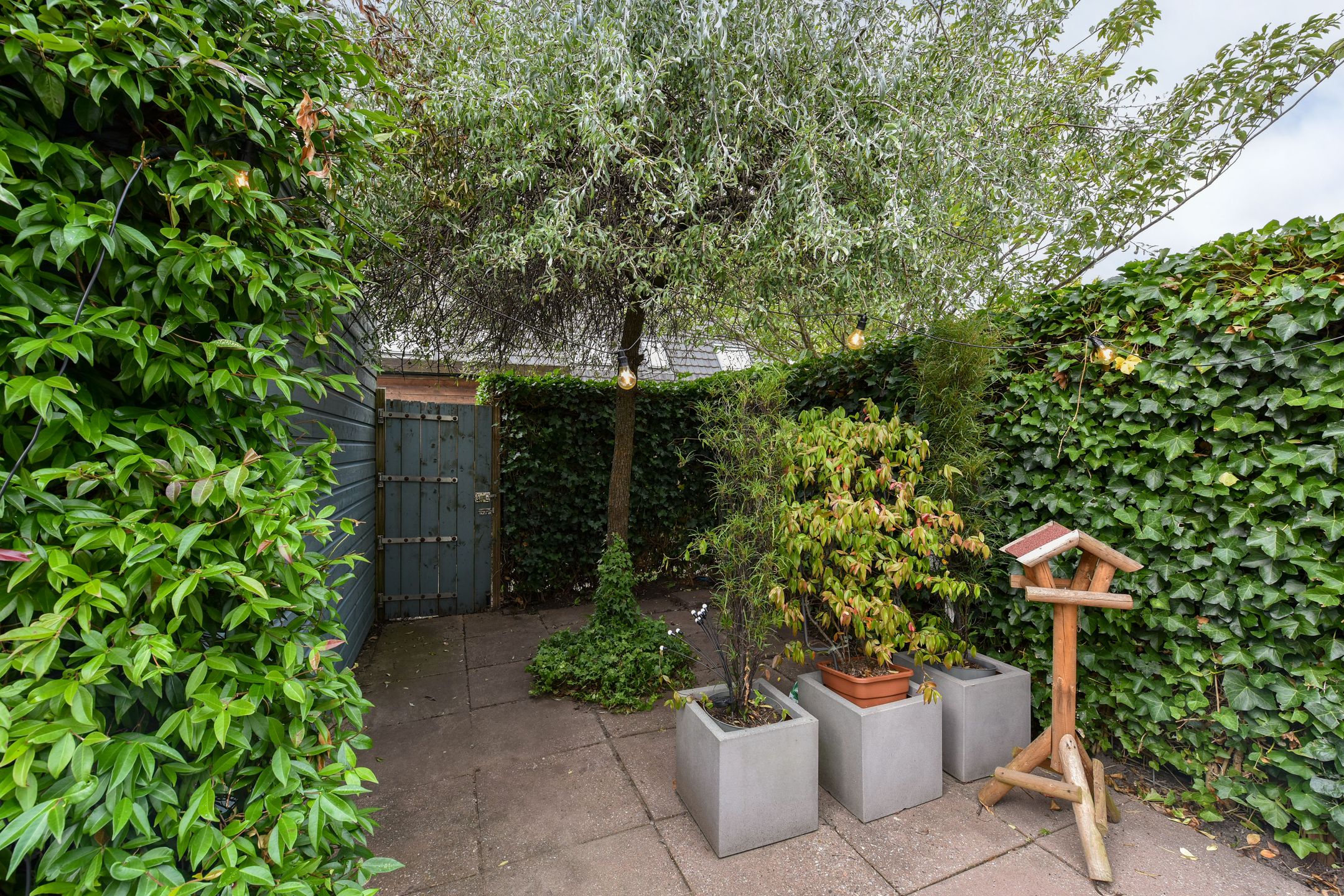 Photo 30 of Vlinderweg 172