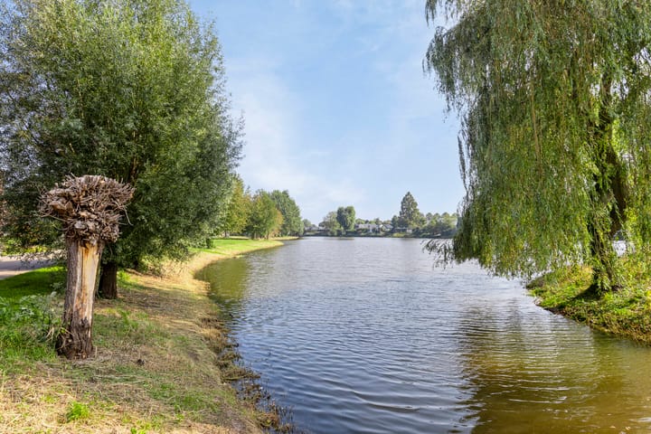 Foto 28 van Boekweitveld 9