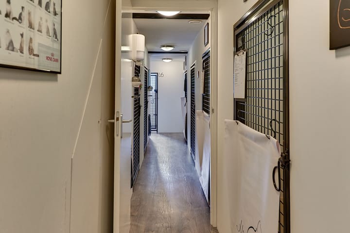 Foto 65 van Horsterweg 158