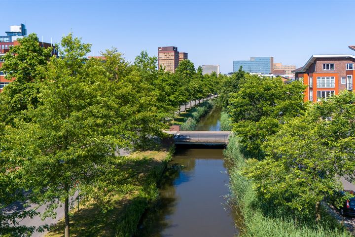 Bekijk foto 40 van Priamsingel 269