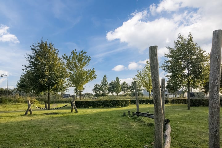 Bekijk foto 38 van Zijdevlinder 123