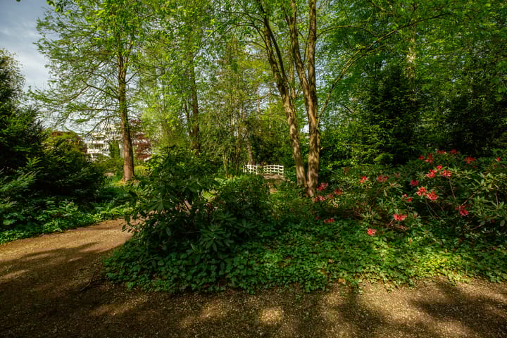 Foto 33 van Laan van Ypenhof 160