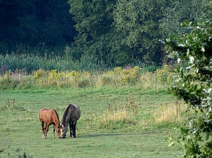 Foto 44 van Kerkweg 18-A