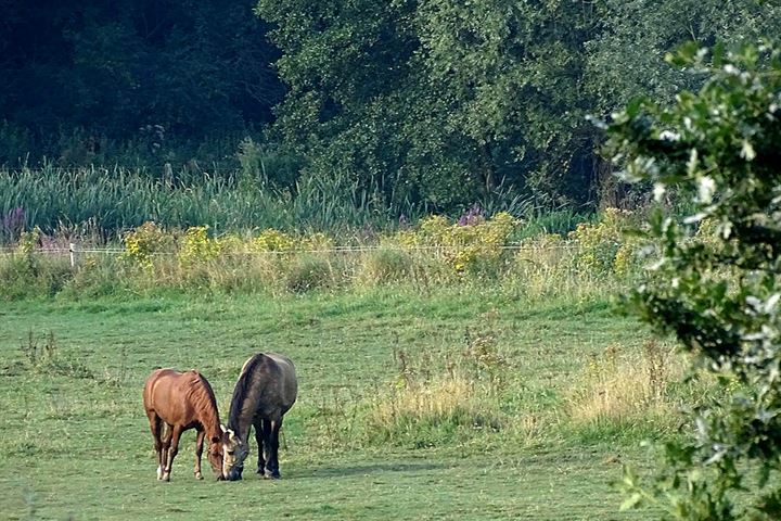 Bekijk foto 44 van Kerkweg 18-A