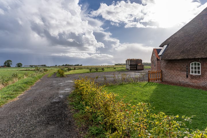 Photo 61 of Terpsterwei 35