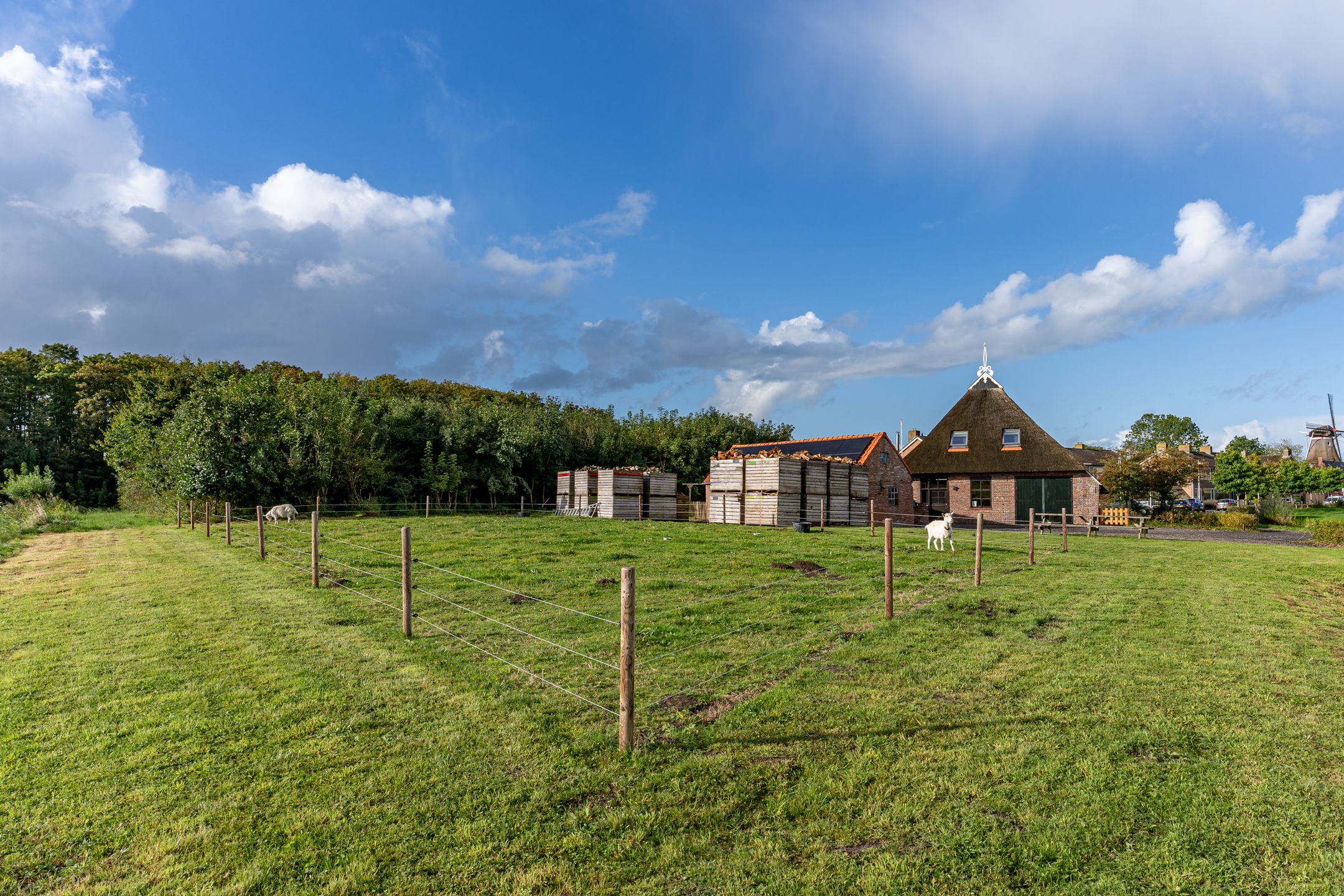 Foto 69 van Terpsterwei 35