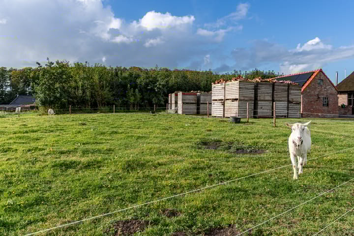 Photo 70 of Terpsterwei 35