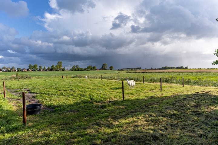 Photo 71 of Terpsterwei 35