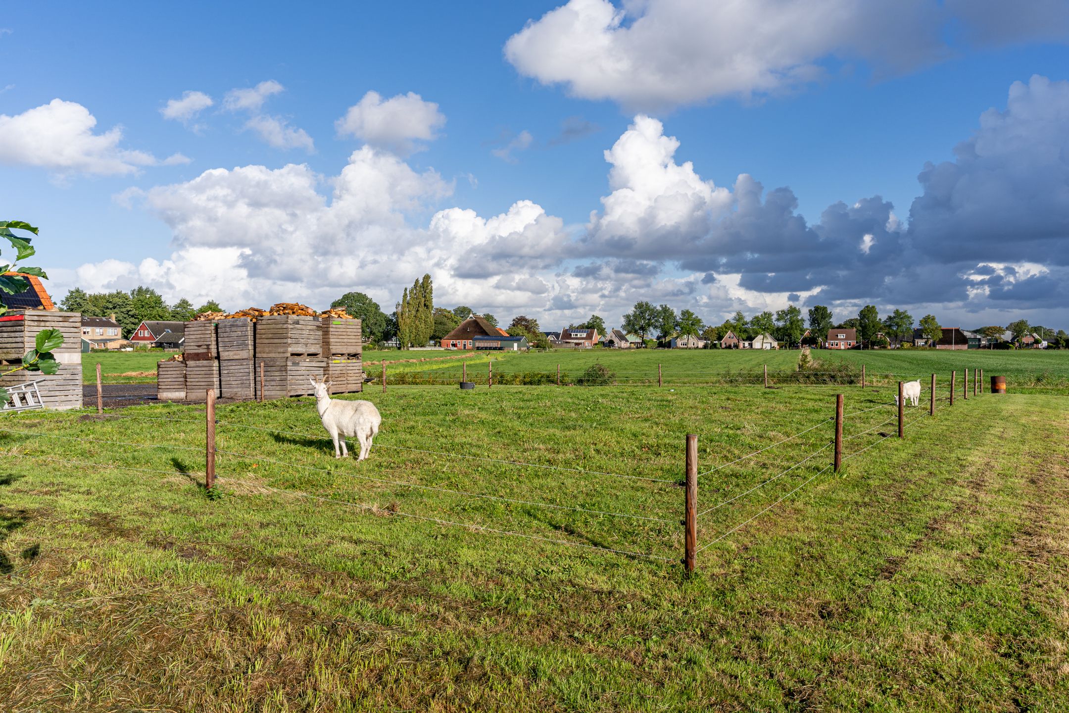 Foto 72 van Terpsterwei 35