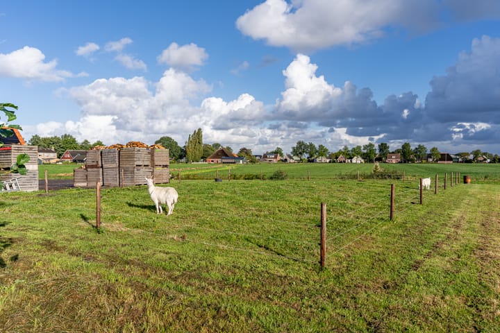 Photo 72 of Terpsterwei 35