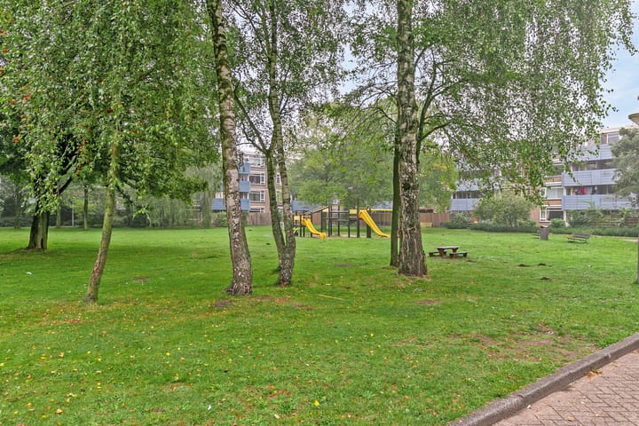 Foto 26 van Midscheeps 79