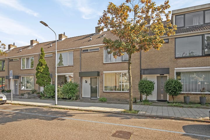 Foto 3 van Graan voor Visch 18604