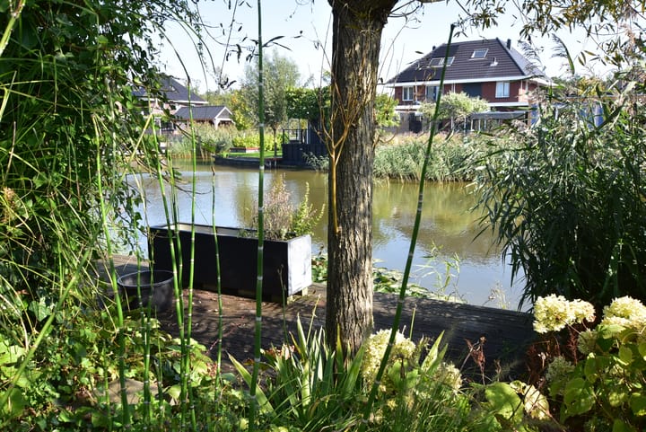 Foto 22 van Albatroslaan 196