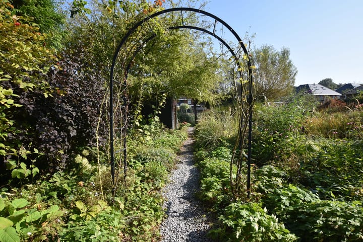 Foto 23 van Albatroslaan 196