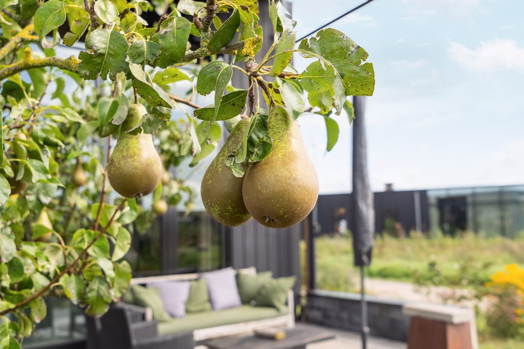 Foto 28 van Oeverwalhof 2