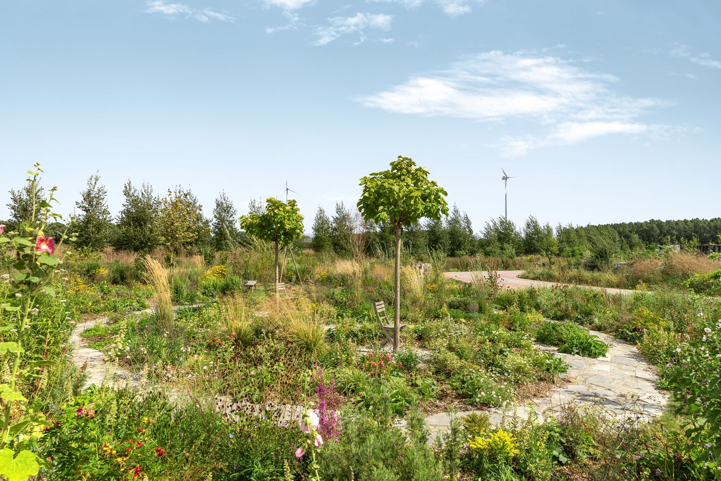 Foto 40 van Oeverwalhof 2