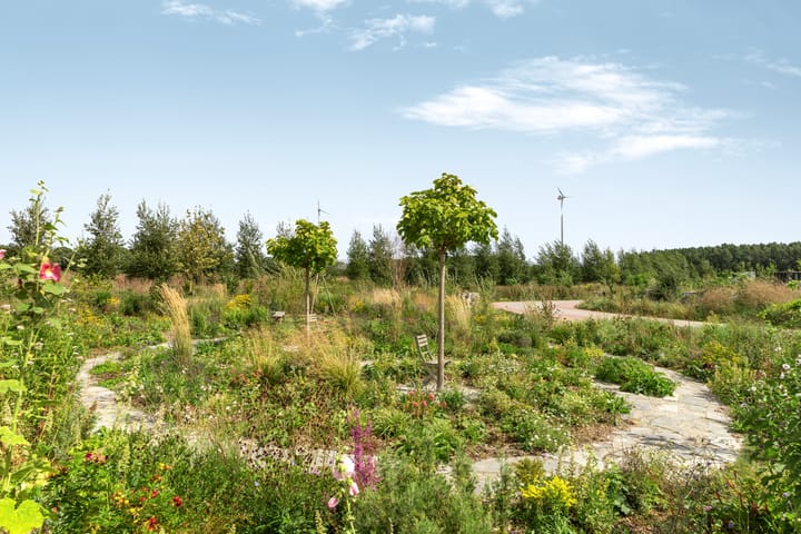 Foto 40 van Oeverwalhof 2