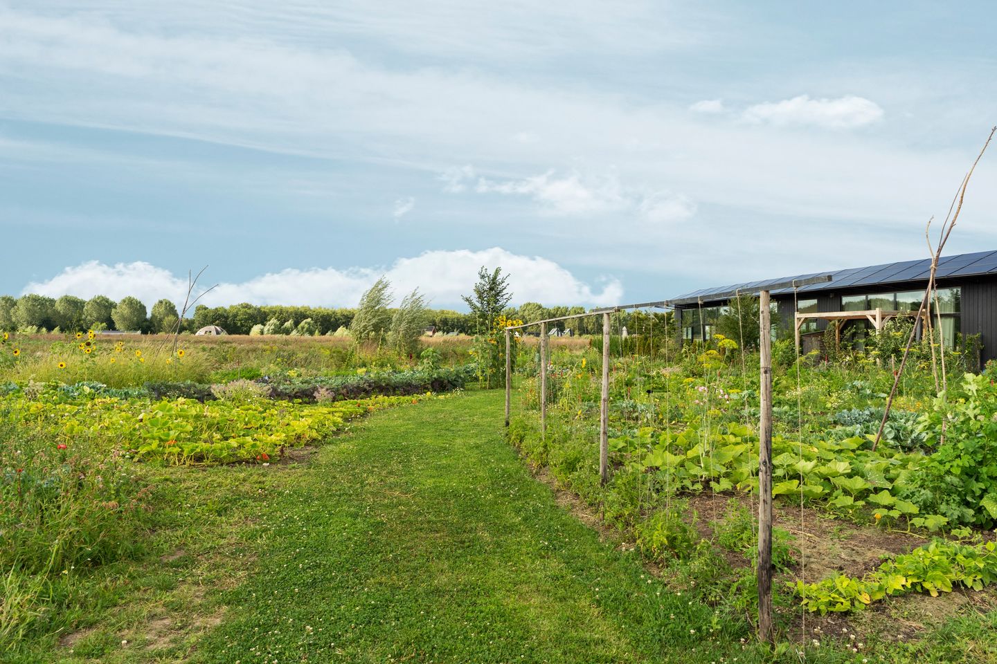 Foto 50 van Oeverwalhof 2