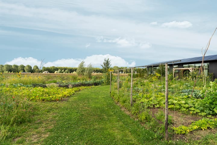 Foto 50 van Oeverwalhof 2