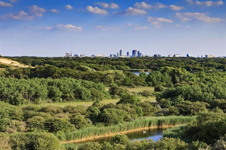 Bekijk foto 72 van Van Lennepweg 22