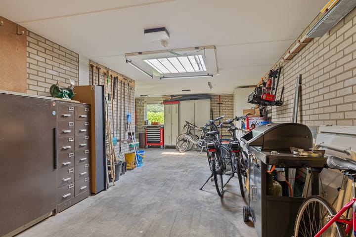 Foto 19 van Duivenveld 3