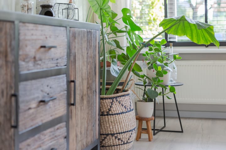 Foto 7 van De Sânhorst 6