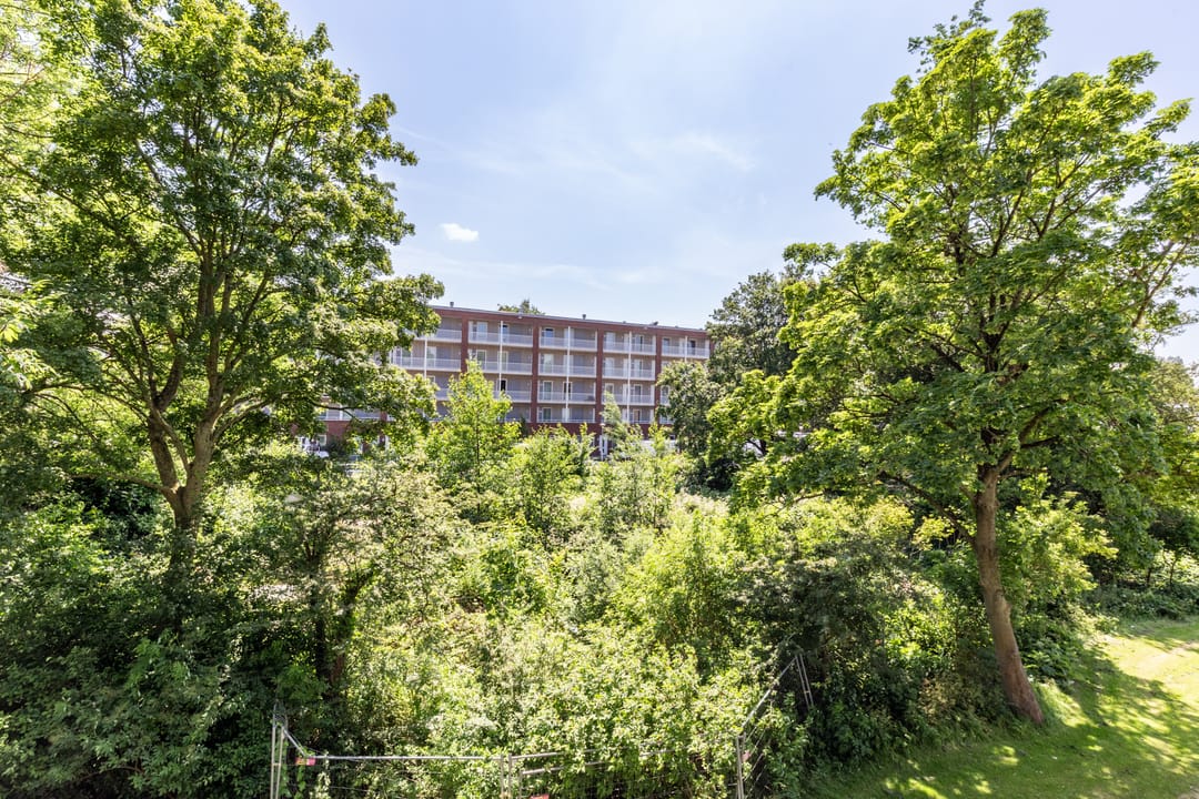 Foto 28 van Burgemeester De Vlugtlaan 221