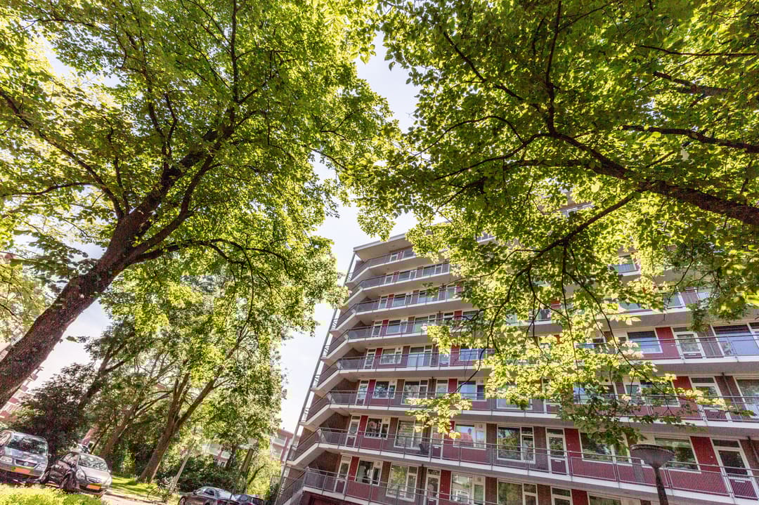 Foto 38 van Burgemeester De Vlugtlaan 221