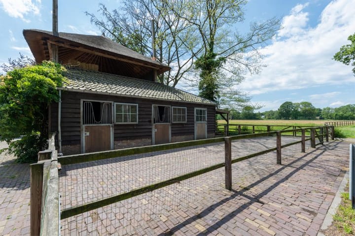 Foto 21 van De Wildkampen 7